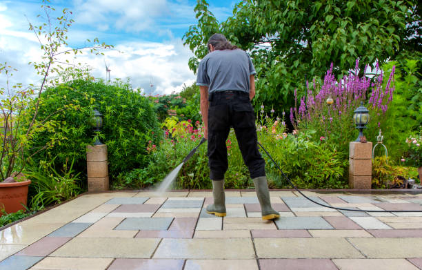 Best Pre-Holiday Cleaning  in Poughkeepsie, NY